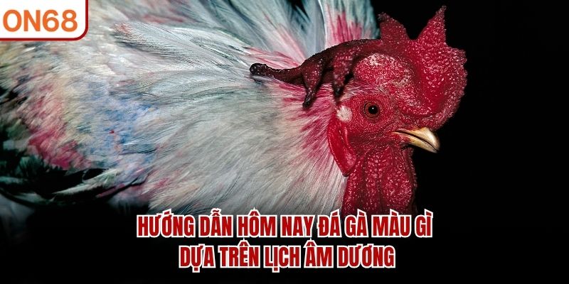 Hôm nay đá gà màu gì theo lịch âm dương Hôm nay đá gà màu gì