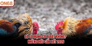 đá gà mạng có bị bắt không