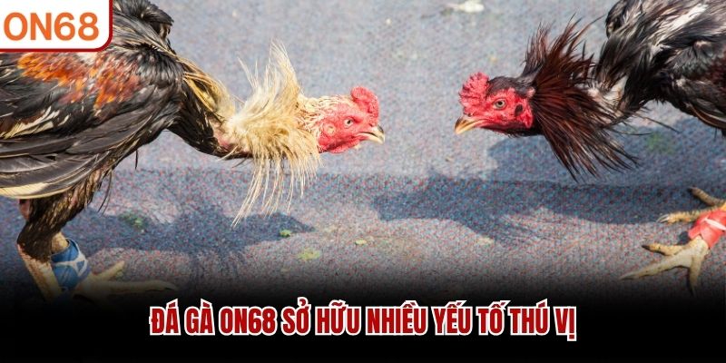 đá gà on68