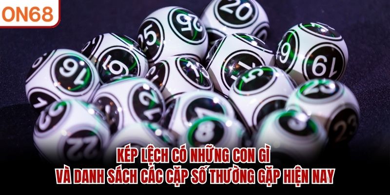 kép lệch có những con gì