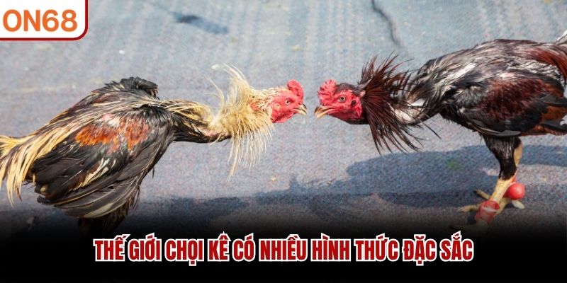 đá gà on68